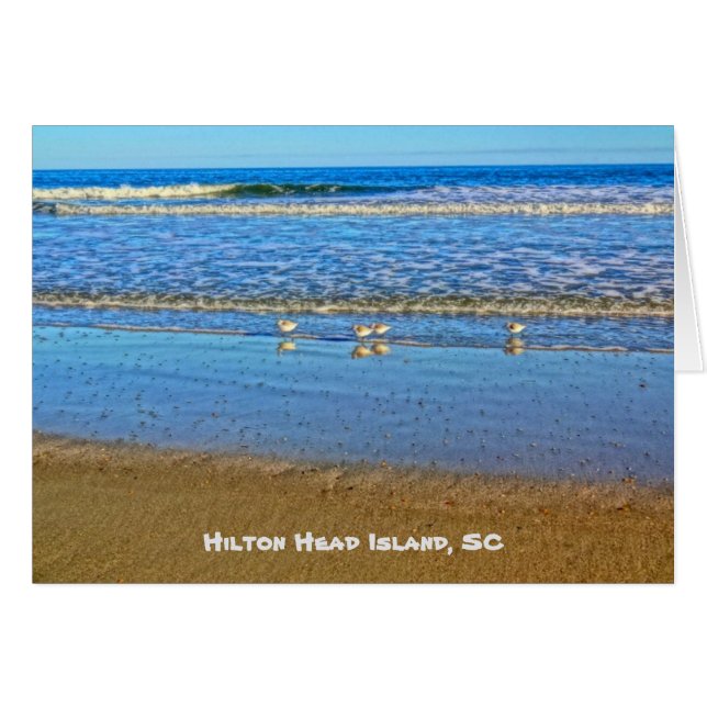Shorebirds im Surf! Hilton Head Island SC (Vorderseite (Horizontal))