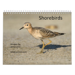 Shorebirds-Kalender Kalender