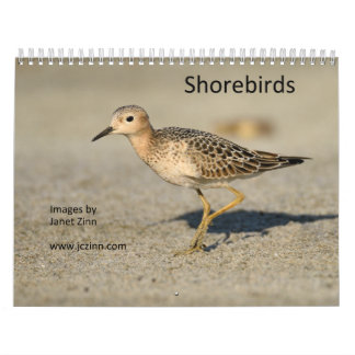 Shorebirds-Kalender Kalender