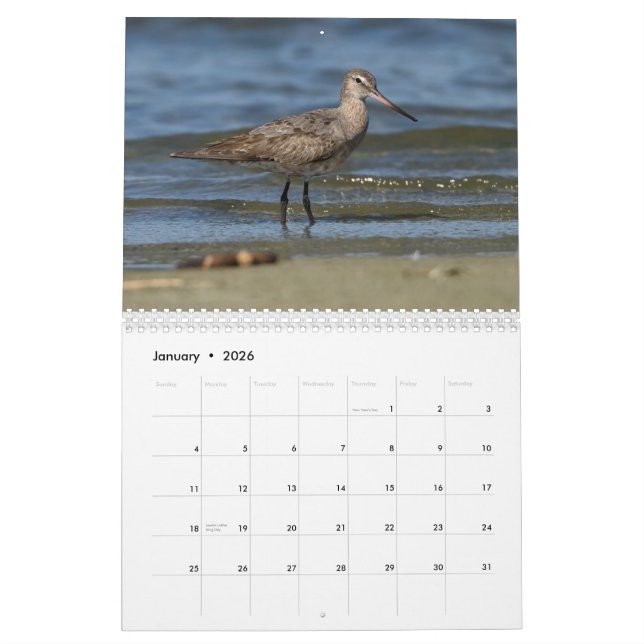 Shorebirds-Kalender Kalender (Jan 2026)