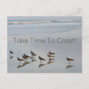 Shorebirds mit Coast Comment Postkarte