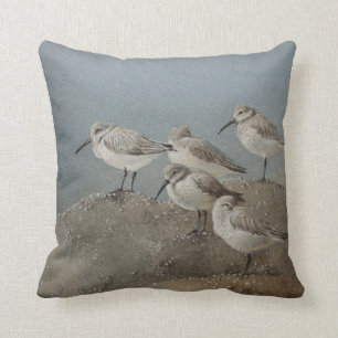 Shorebirds/Sanderlingsatemberaubendes Throw-Kissen Kissen