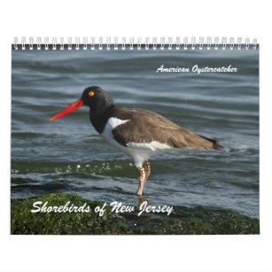 Shorebirds von New-Jersey Kalender