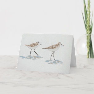 Shoreline Birds Illustration Karte