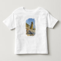 Shoreline und Seastacks, Ruby Beach, Olympic