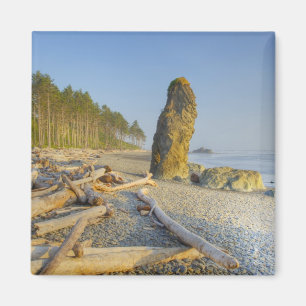 Shoreline und Seastacks, Ruby Beach, Olympic Magnet