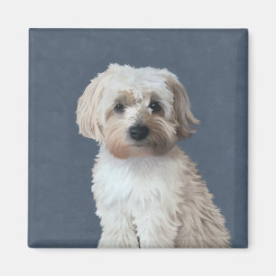 Shorkie-Hund Haustier-Porträt Magnet