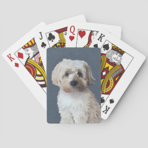 Shorkie-Hund Haustier-Porträt  Spielkarten