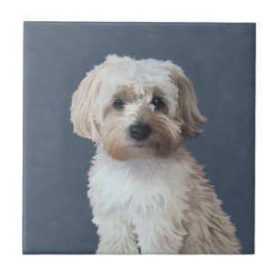 Shorkie-Hundeportrait Fliese