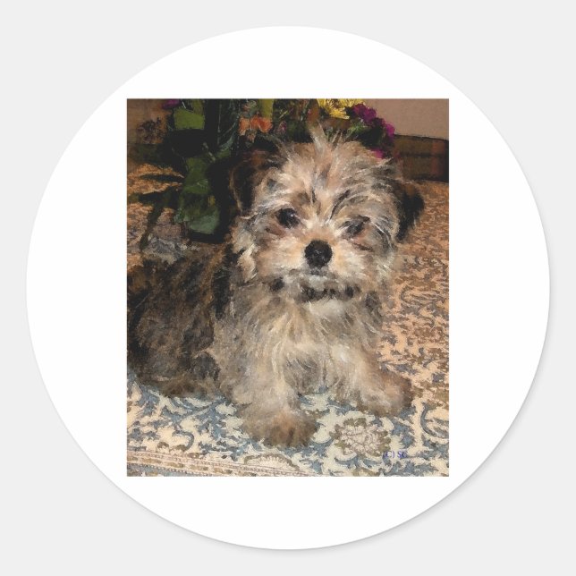 Shorkie Puppy Runder Aufkleber (Vorderseite)
