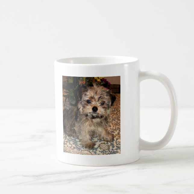 Shorkie Welpe Tasse (Rechts)