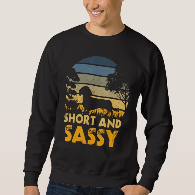 Short And Sassy Dachshund Weiner Dog Sweatshirt (Vorderseite)