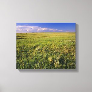 Short Grass Prairie im abgelegenen Nordosten Leinwanddruck