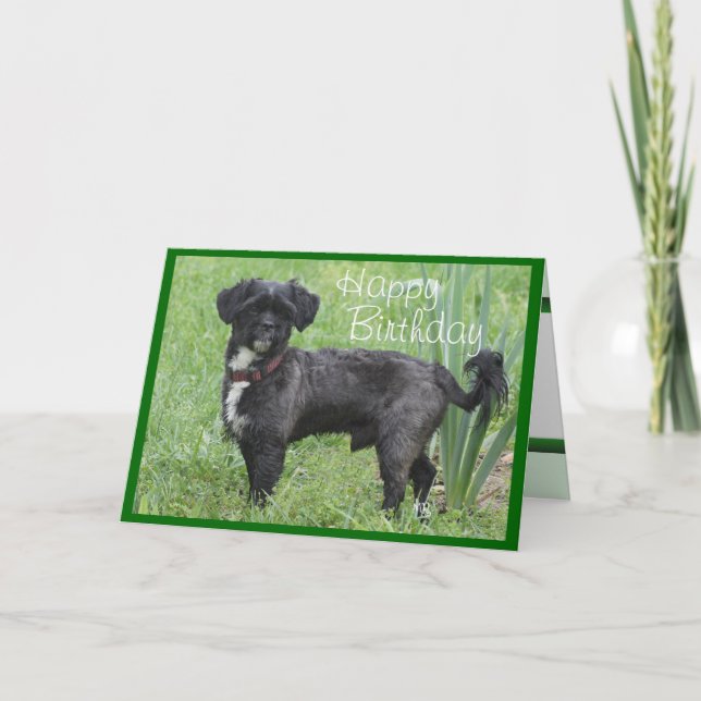 Shorty Iris-fertigen vorbei jede mögliche Karte (Vorderseite)