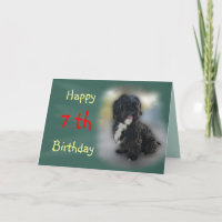 Shorty Lhasa Apso-Shih Tzu Card anpassen