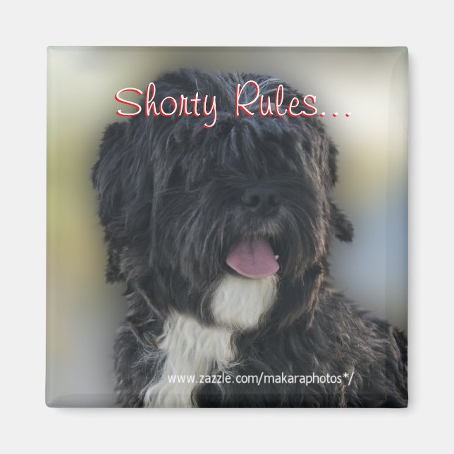 Shorty Lhasa Apso-Shih Tzu Magnet-personalize Magnet (Vorne)