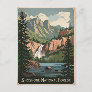 Shoshone National Forest Vintage Postkarte