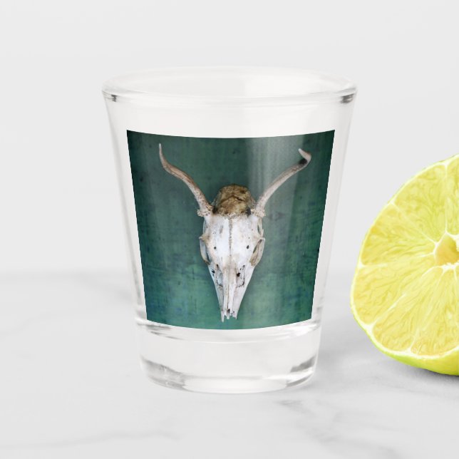 Shot Glass Antelope Skull Design Schnapsglas (Vorderseite)