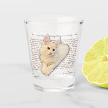 Shot glass - creme Maine Coon kitten