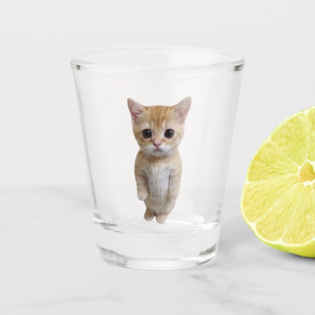 Shot Glass El Gato Cat Meme Schnapsglas (Vorderseite)