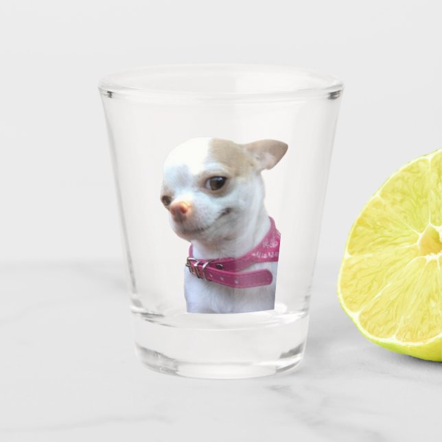 Shot Glass Hübsch Chihuahua Dog Meme Schnapsglas (Vorderseite)