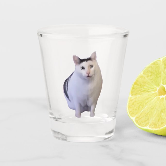 Shot Glass Huh Cat Meme Schnapsglas (Vorderseite)