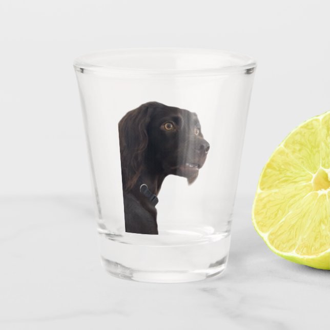 Shot Glass Konfuse Dog Meme Schnapsglas (Vorderseite)