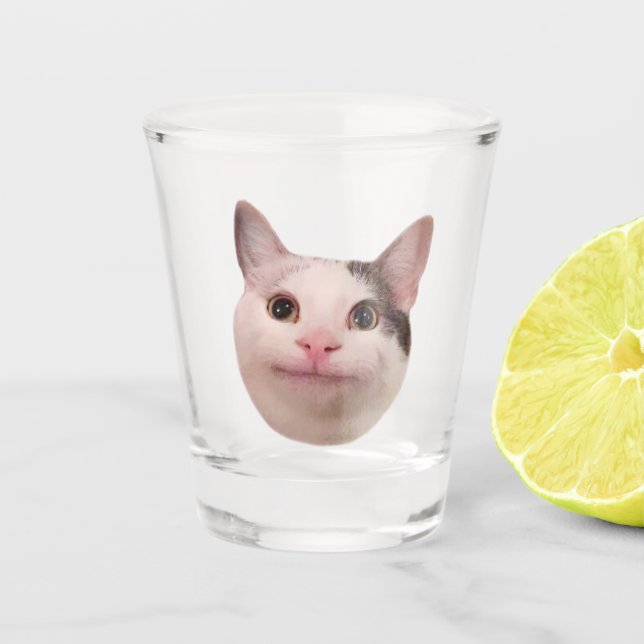Shot Glass Polit Cat Meme Schnapsglas (Vorderseite)