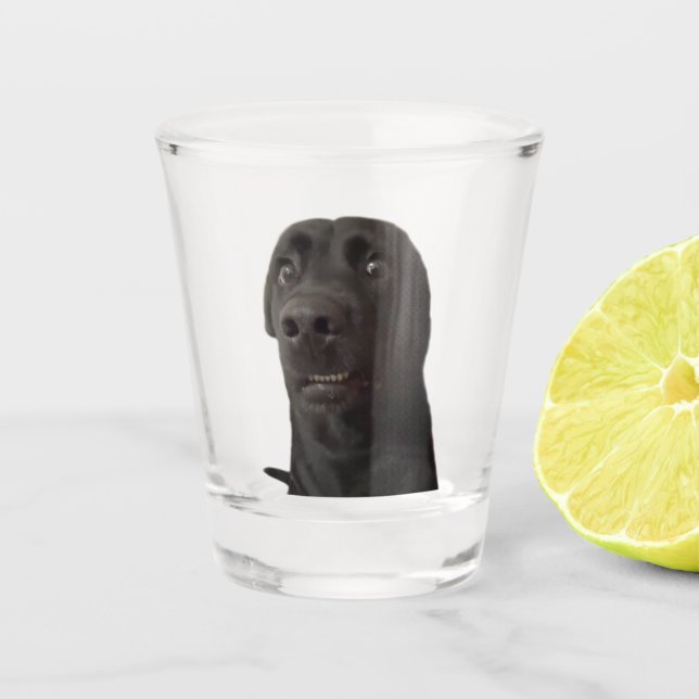 Shot Glass Scared Dog Meme Schnapsglas (Vorderseite)