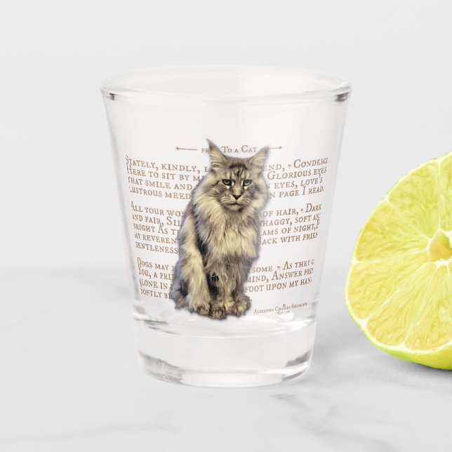Shot glass - Schwarz-Silber-Tabby Maine Coon Cat Schnapsglas (Vorderseite)