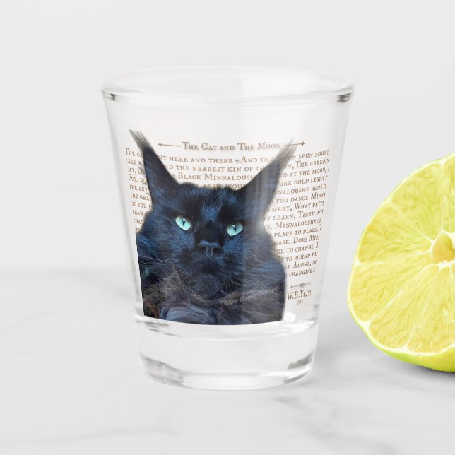 Shot glass - schwarze Maine Coon Katze Schnapsglas (Vorderseite)