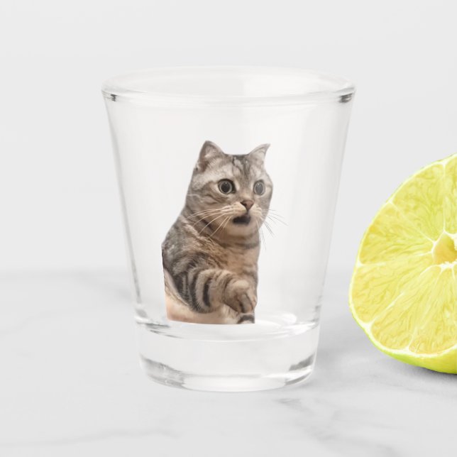 Shot Glass Shock Cat Meme Schnapsglas (Vorderseite)