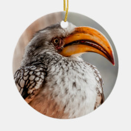 Shouthern Yellow Billy Hornbill Keramik Ornament