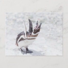 Shouting Pinguin Postkarte