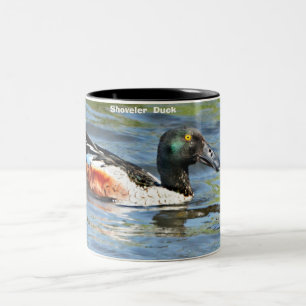 Shoveler Duck Zweifarbige Tasse