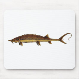 Shovelnose Stör - Scaphirhynchus platorynchus Mousepad