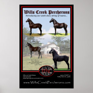 SHOW-SCHNUR DES WILLENSnebenfluss-PERCHERONS 2006 Poster