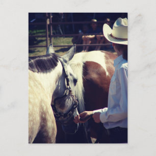 Showmanship auf einer Pferdeshow Postkarte