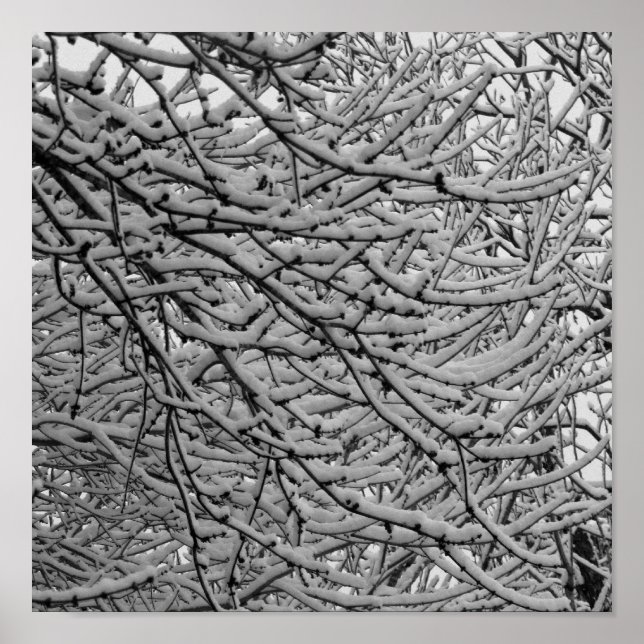 Shrepport Snowfall Poster (Vorne)