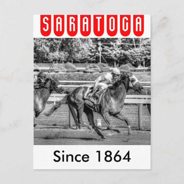 Shrewd One von Smarty Jones Postkarte (Vorderseite)