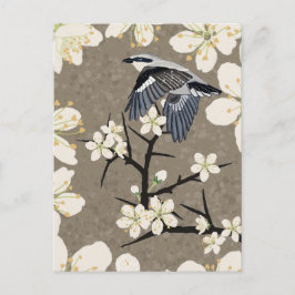 Shrike Feiertagspostkarte