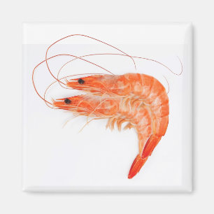 Shrimp Lovers Magnet