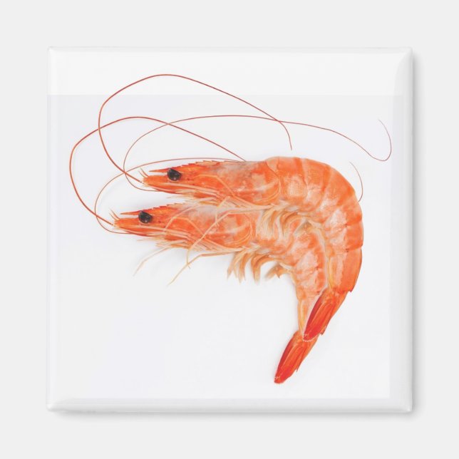 Shrimp Lovers Magnet (Vorne)