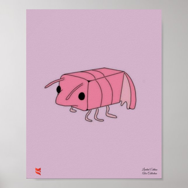 Shrimp Poster Limited (Vorne)
