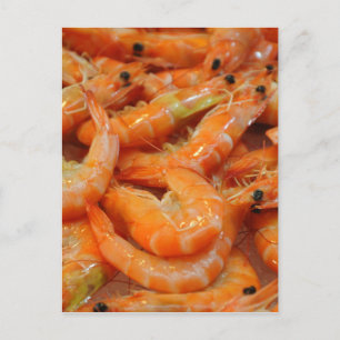 Shrimp Prawns Postkarte