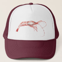 Shrimp Themed