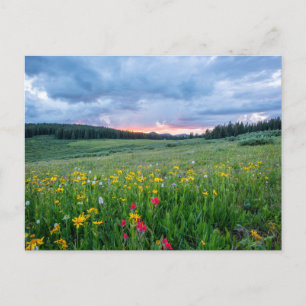 Shrine Pass Road, Red Cliff, Vereinigte Staaten Postkarte