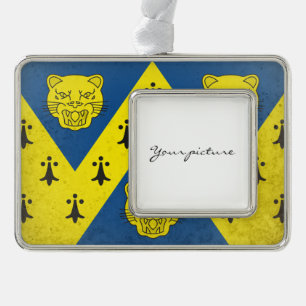 Shropshire Rahmen-Ornament Silber