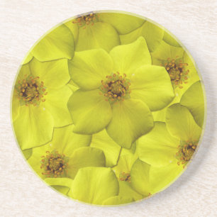 Shrubby Cinquefoil Nahtloses Muster Getränkeuntersetzer