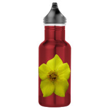 Shrubby Cinquefolie #1